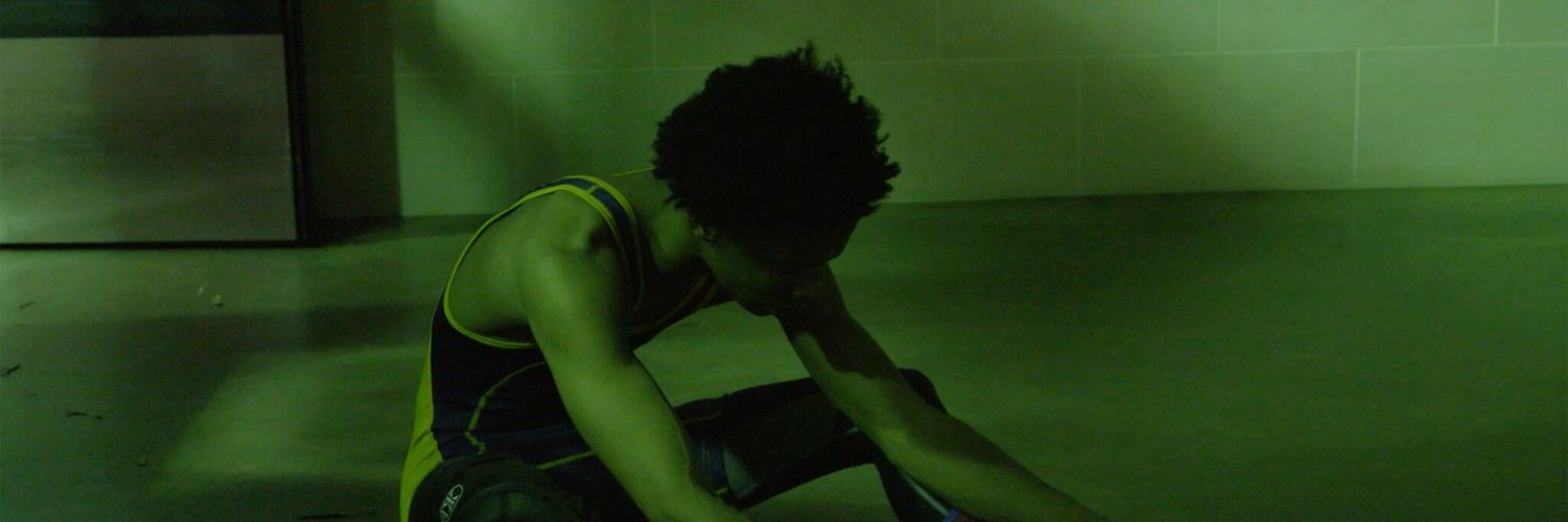 lauren ashley belfer banner