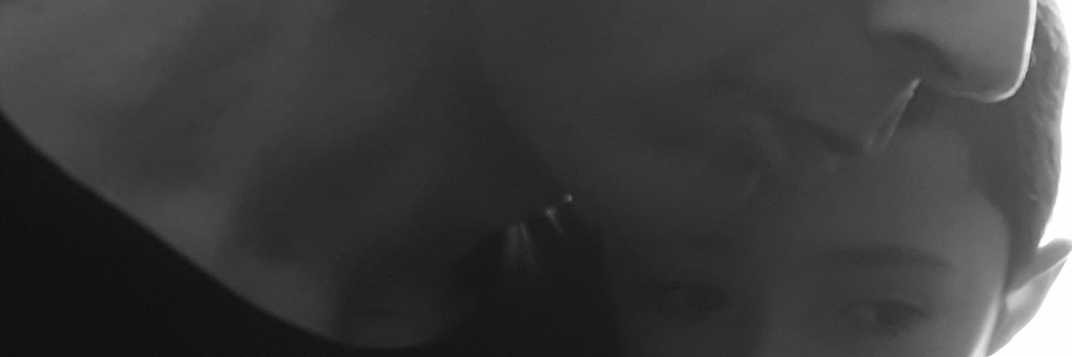 yolandacameo's profile banner image