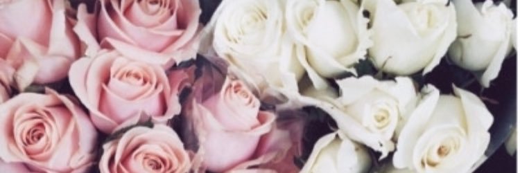 MegSimpson1's profile banner image