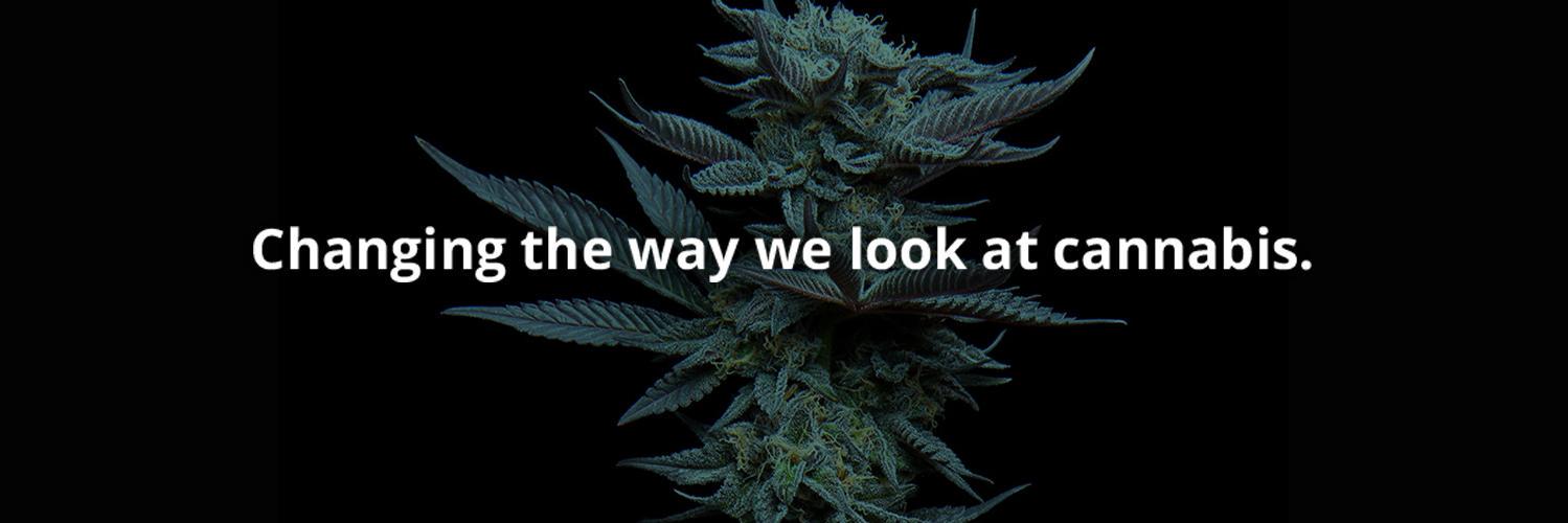 sinsemedia's profile banner image