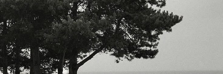 ؘ banner