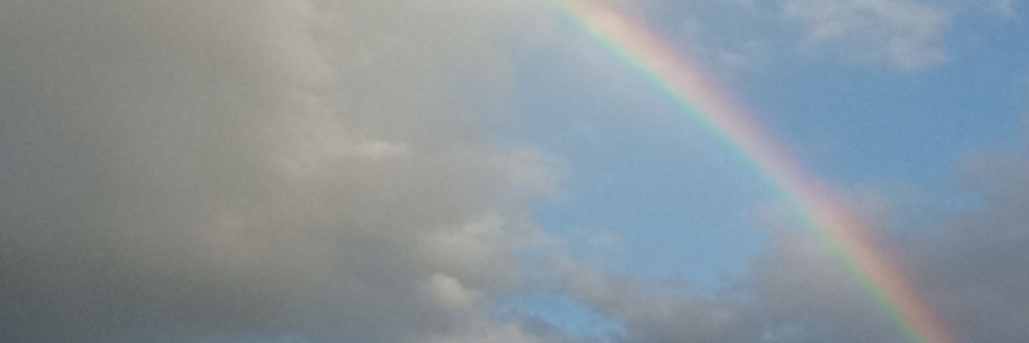 mariamd9616's profile banner image