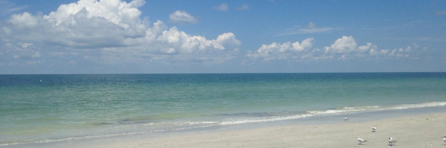 mollycroyle's profile banner image