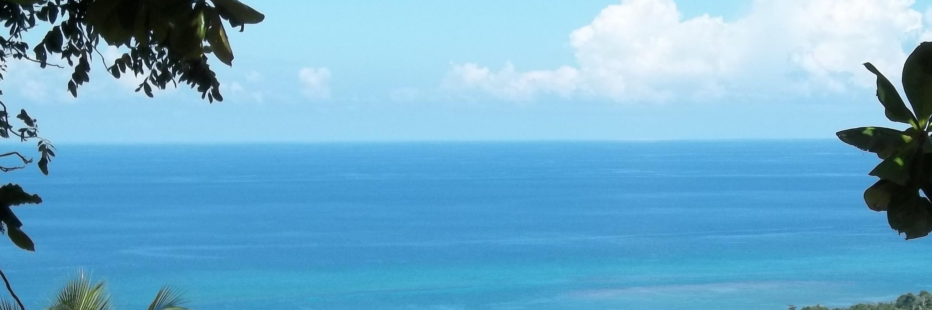 rezglobalimpact's profile banner image