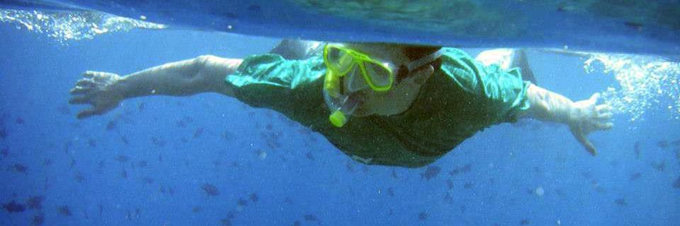 Rick Thompson banner