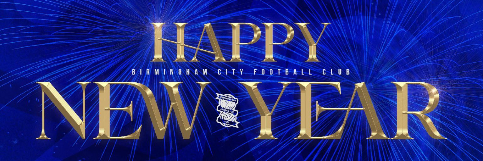 Carol S #TeamBlues💙 #TeamGreen💚🚑 banner