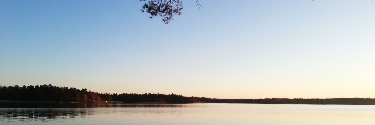 Hugo Höglund banner