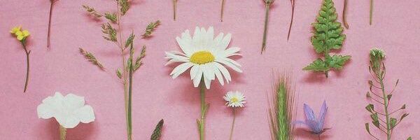 Ju_huing's profile banner image