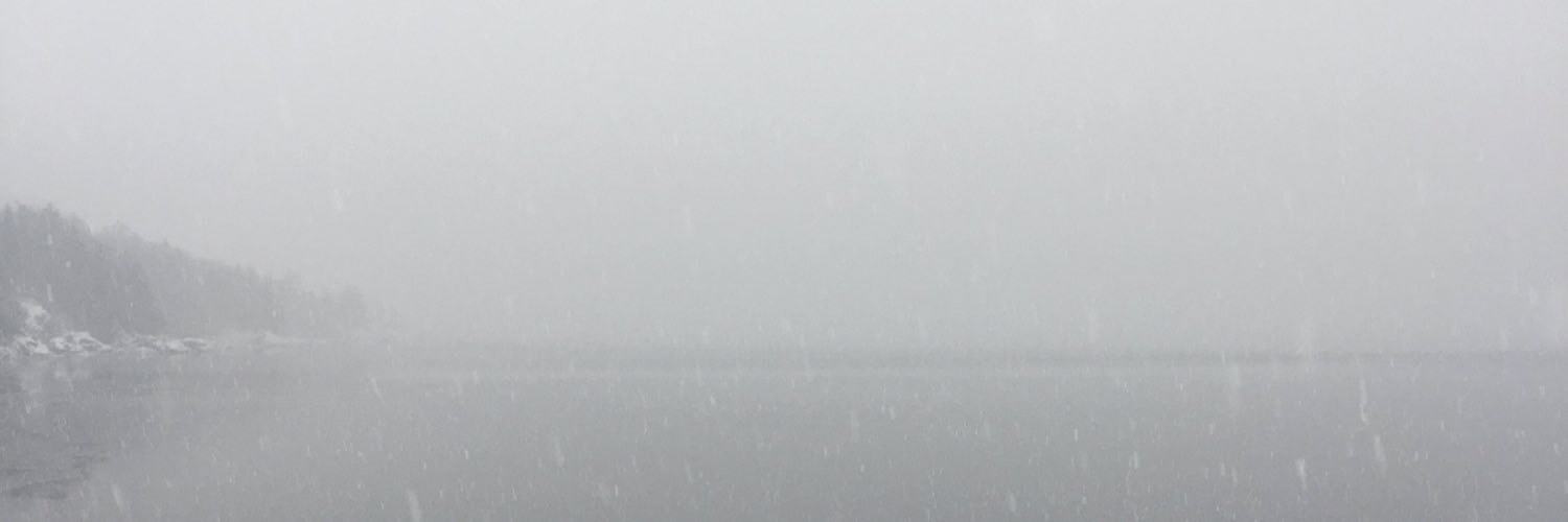 __thomasf's profile banner image
