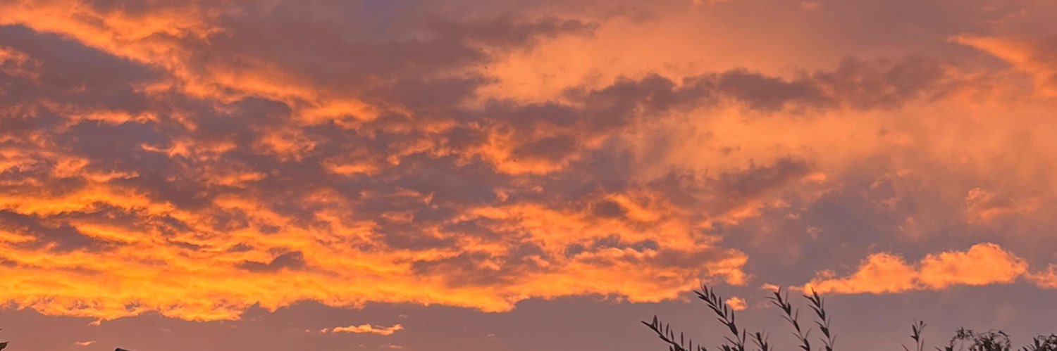 𝑴𝒐𝒓𝒈𝒂𝒏𝒆 banner