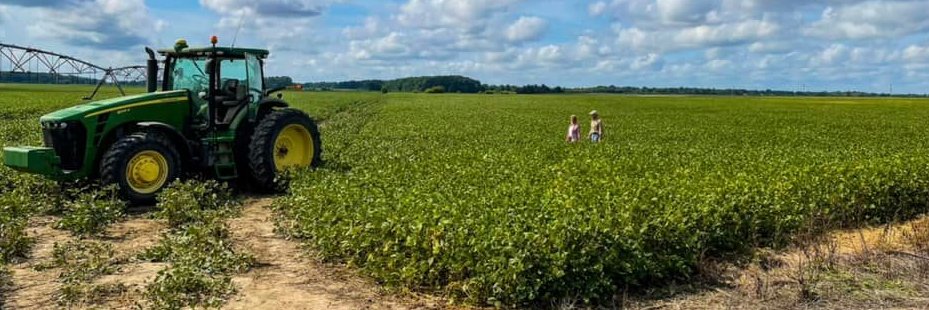 Leslie Rutledge banner