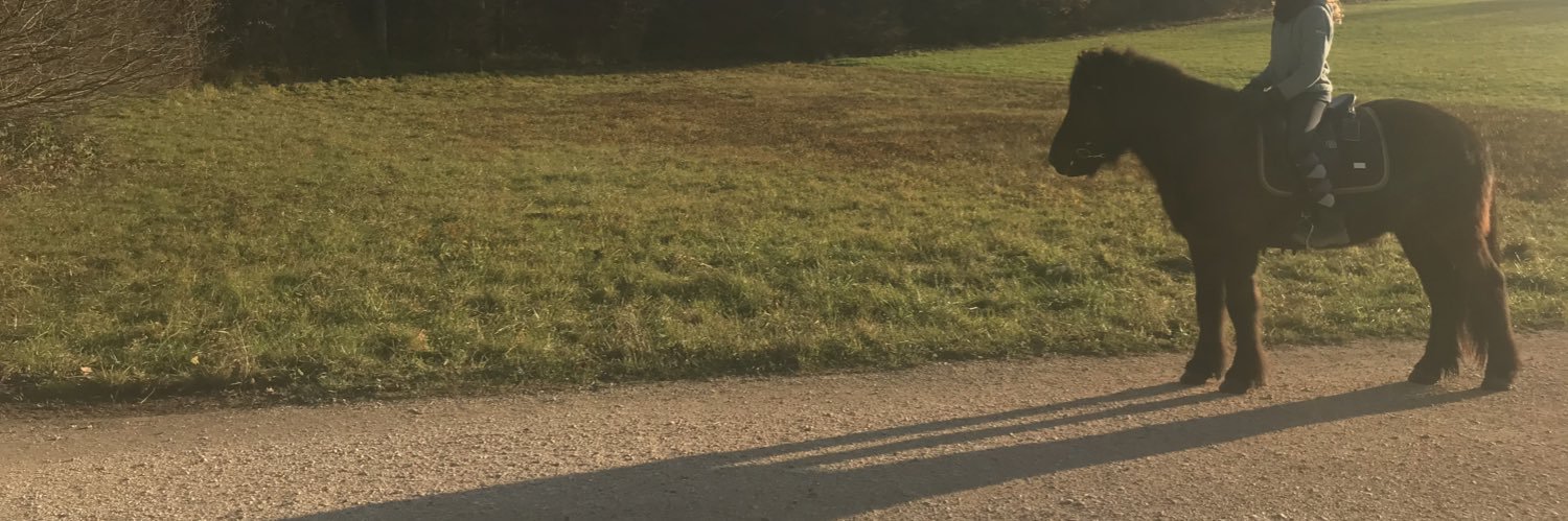 Multitaskingqueen ☠️ banner