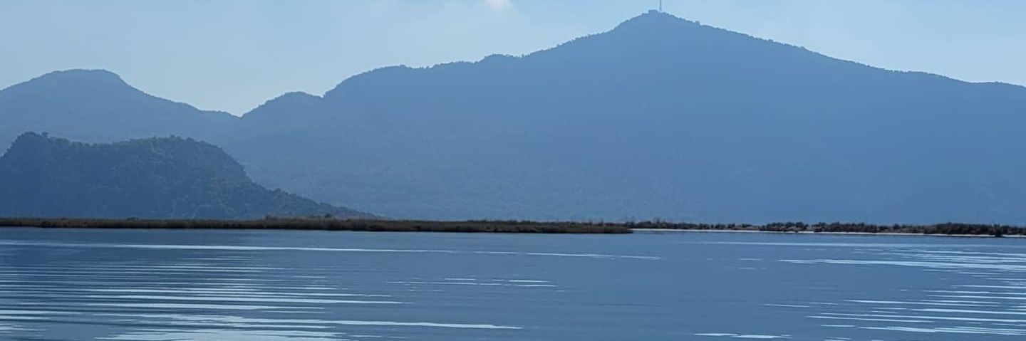 brcnscn's profile banner image
