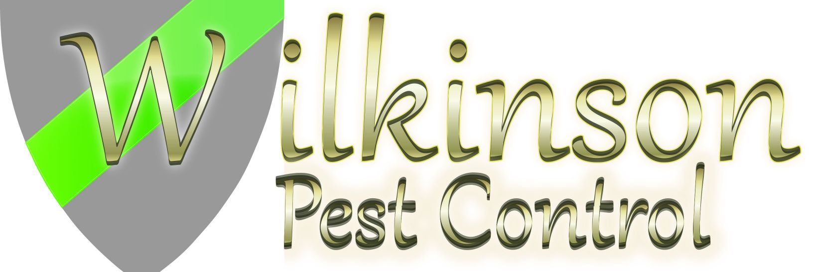 Scott Wilkinson banner