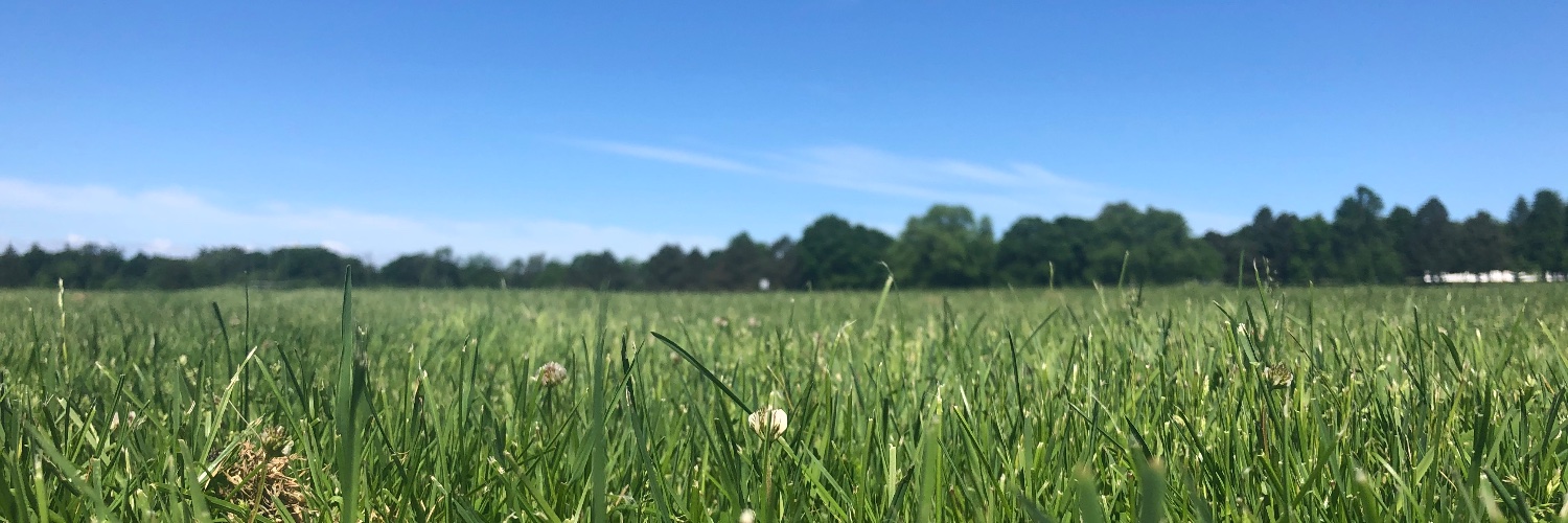 MattDeLuco's profile banner image