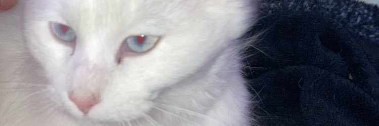 nichoIass_'s profile banner image