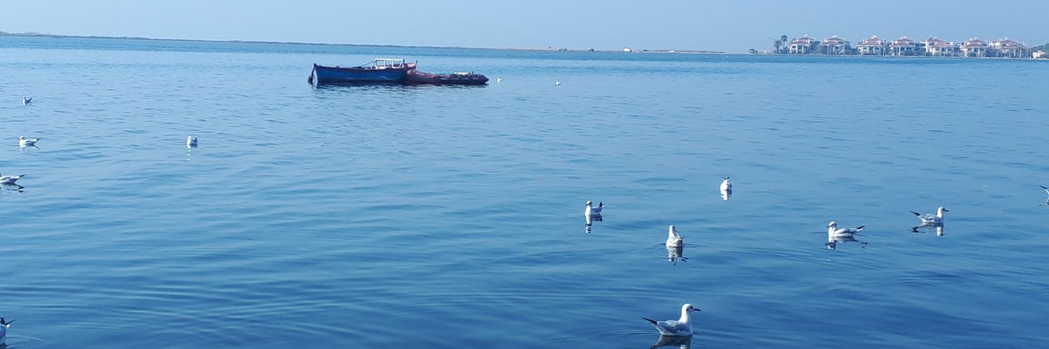 okan_coco's profile banner image