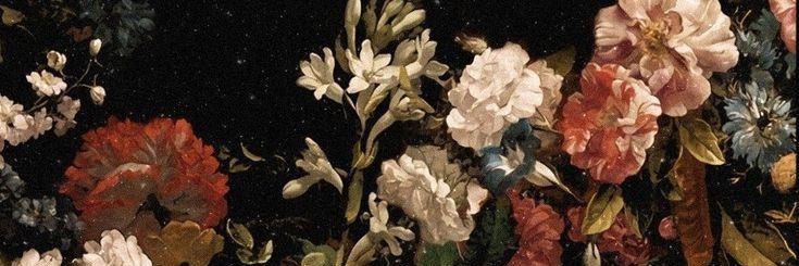 p_ontinho's profile banner image