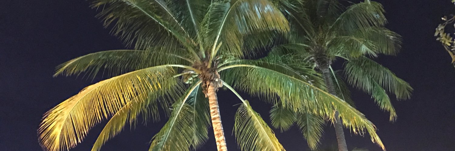 tomasvarg_se's profile banner image
