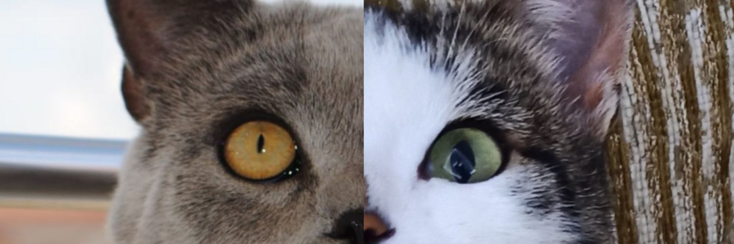 sulebaltaaa's profile banner image