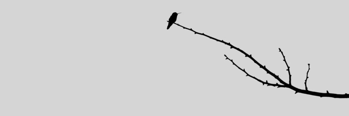 bulutes_'s profile banner image