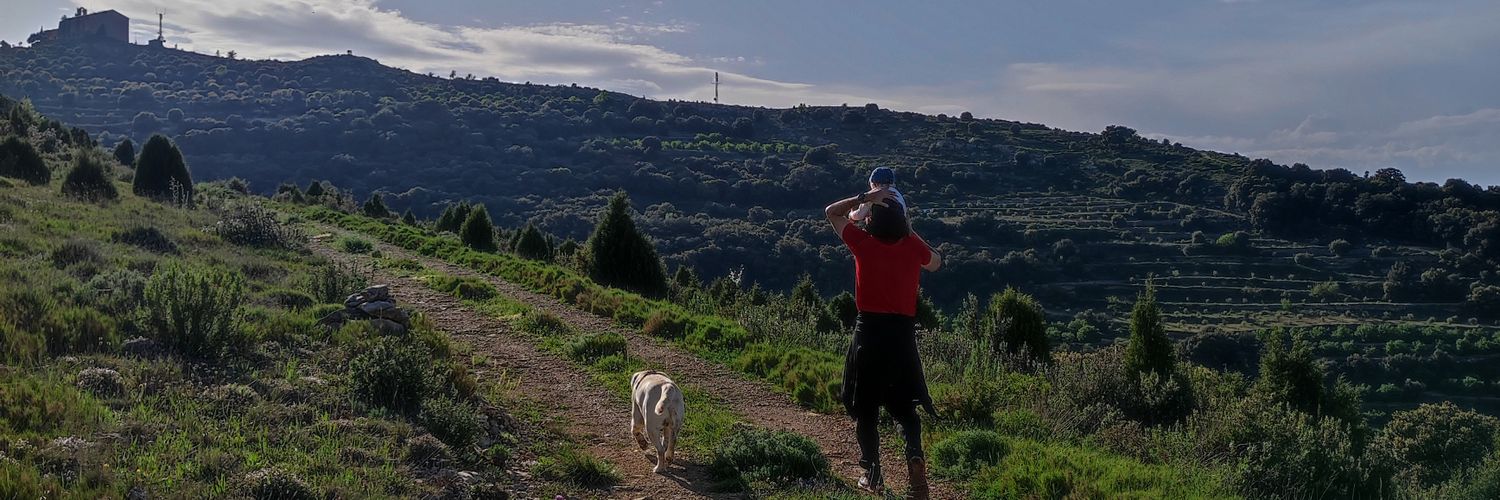 Raül González Devís banner