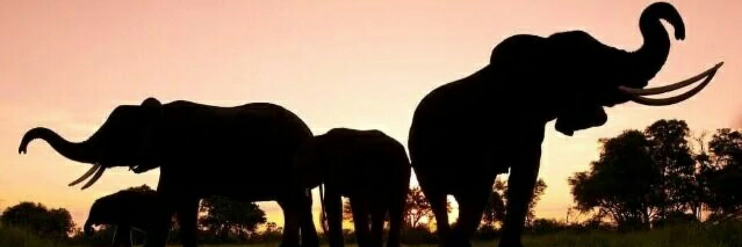 jaspreetkh's profile banner image
