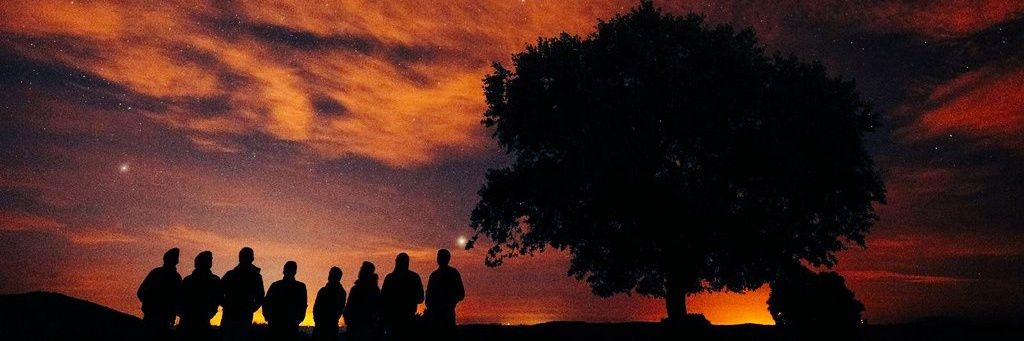 felops6's profile banner image