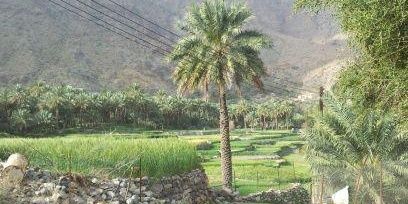 KhalafHamood4's profile banner image