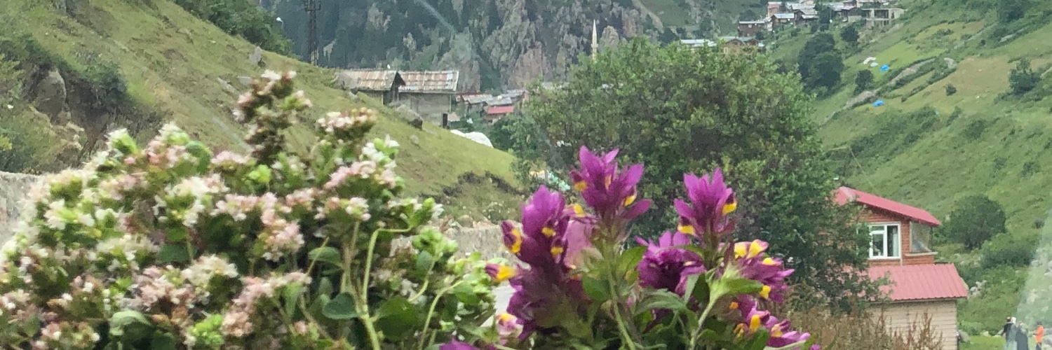 nuranhal's profile banner image