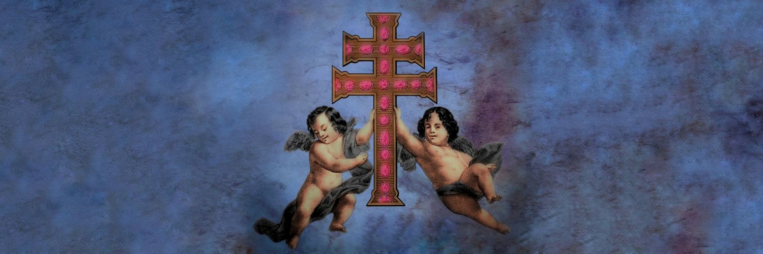 Cofradía de la Santísima y Vera Cruz de Caravaca's banner