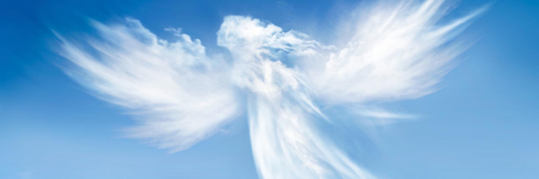 ivan_magri's profile banner image