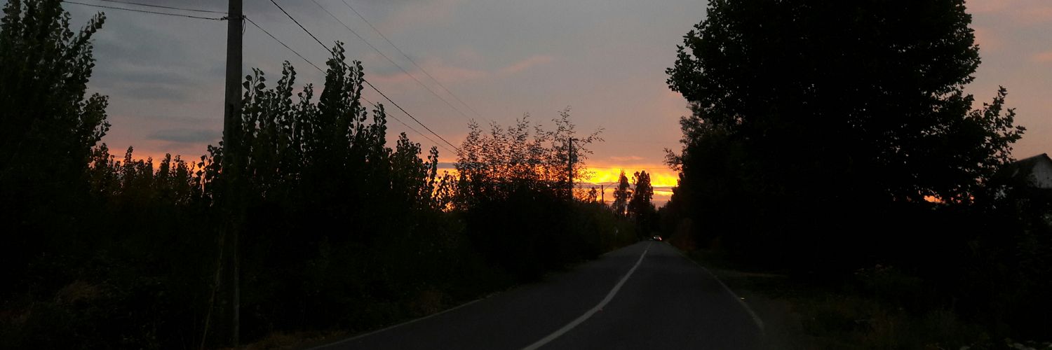 poseyxroden's profile banner image