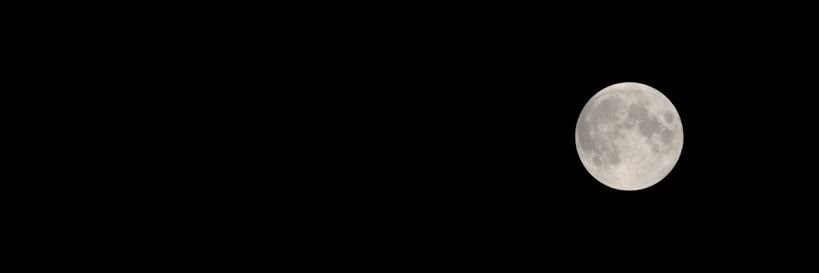 3lyfathy's profile banner image