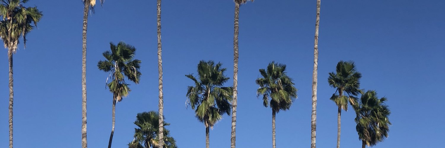 normaseca15's profile banner image