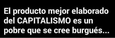 Kalu Marroquín 🌱💐💙🤍💙 banner