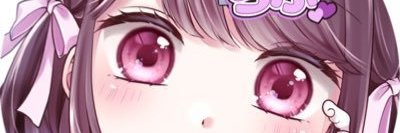 网骚小野猫 banner