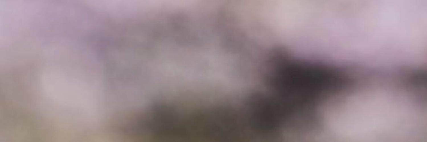 sawyerrpgha2's profile banner image