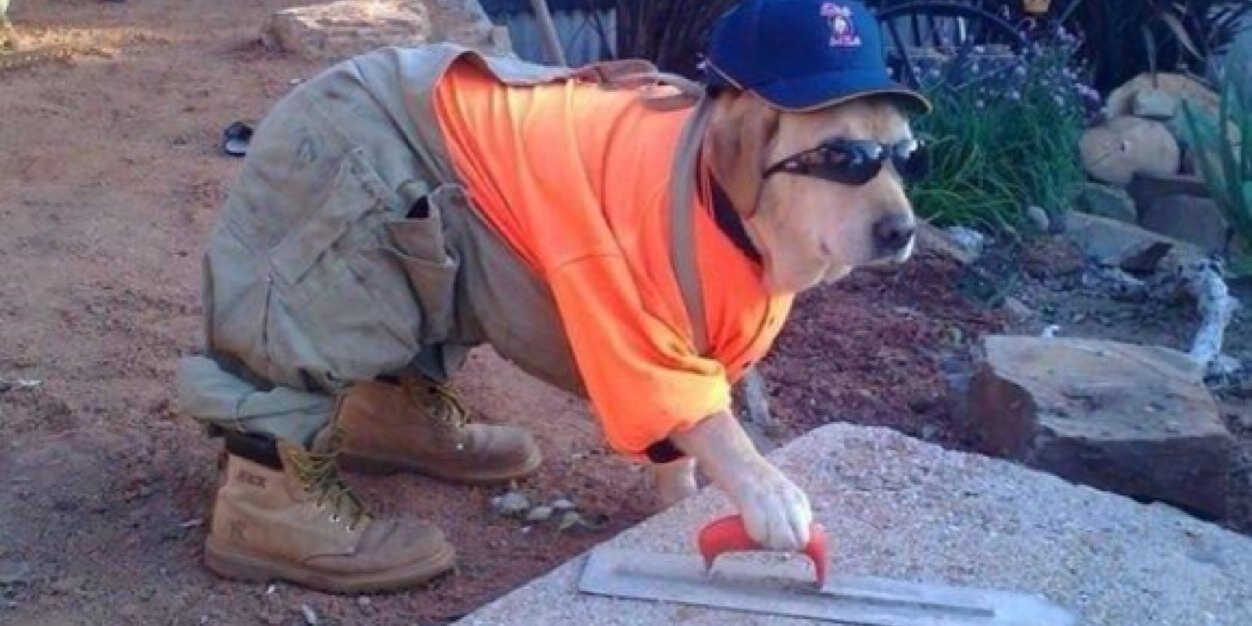 Brennan Rolander banner