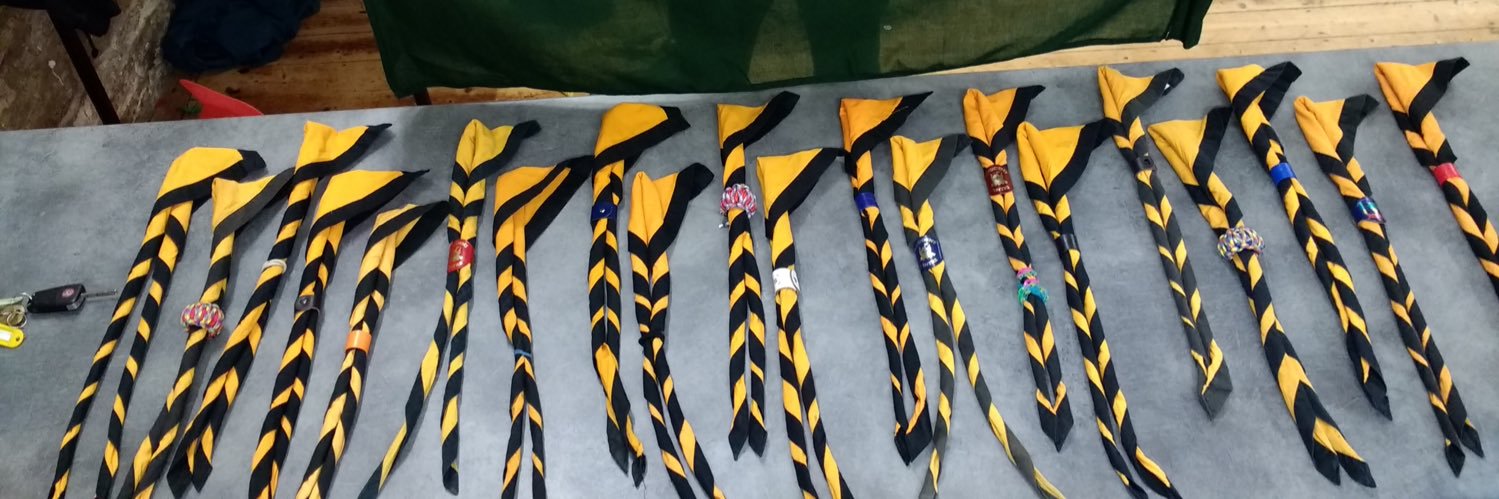 WitneyScouts's profile banner image