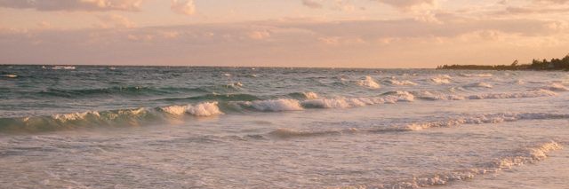 carmen4298's profile banner image