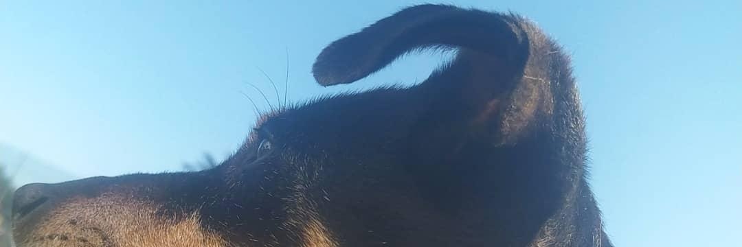LauraMoreC's profile banner image