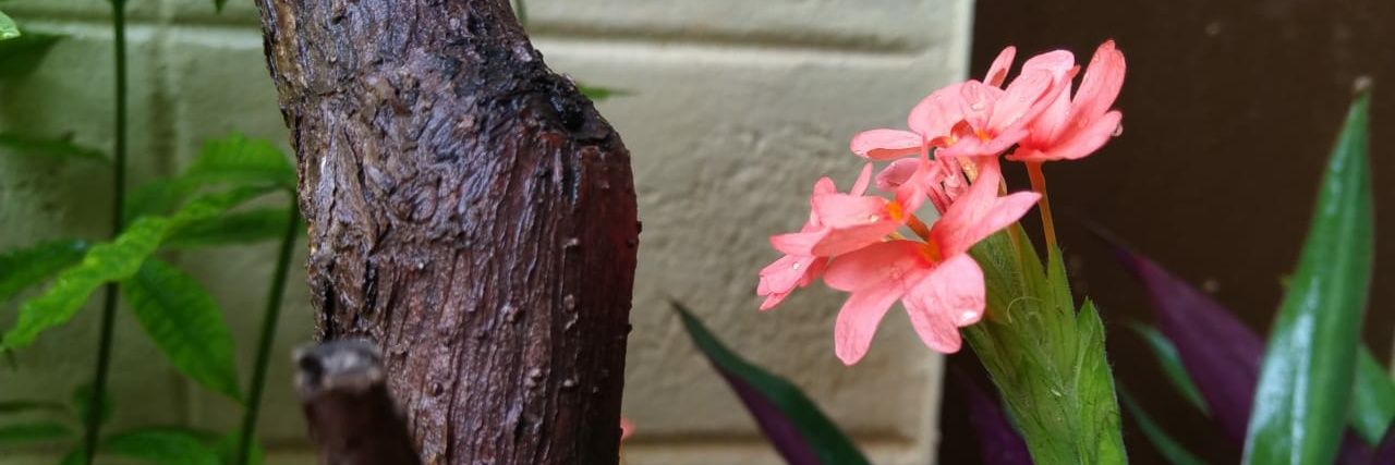 vrsuba's profile banner image