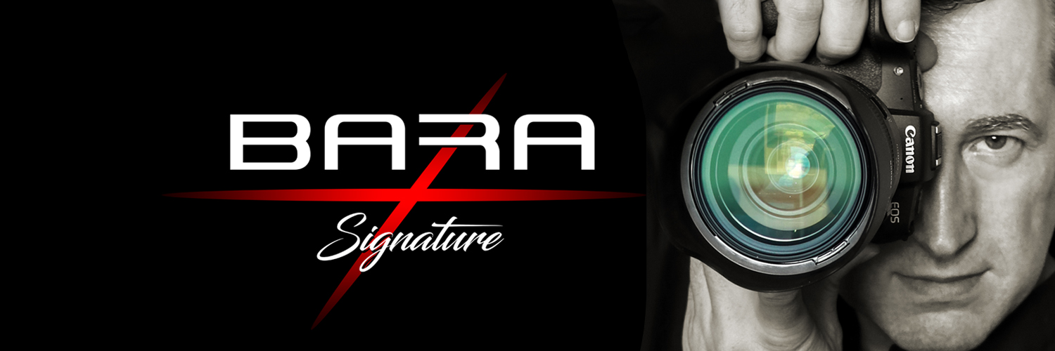 BaraSignature's profile banner image