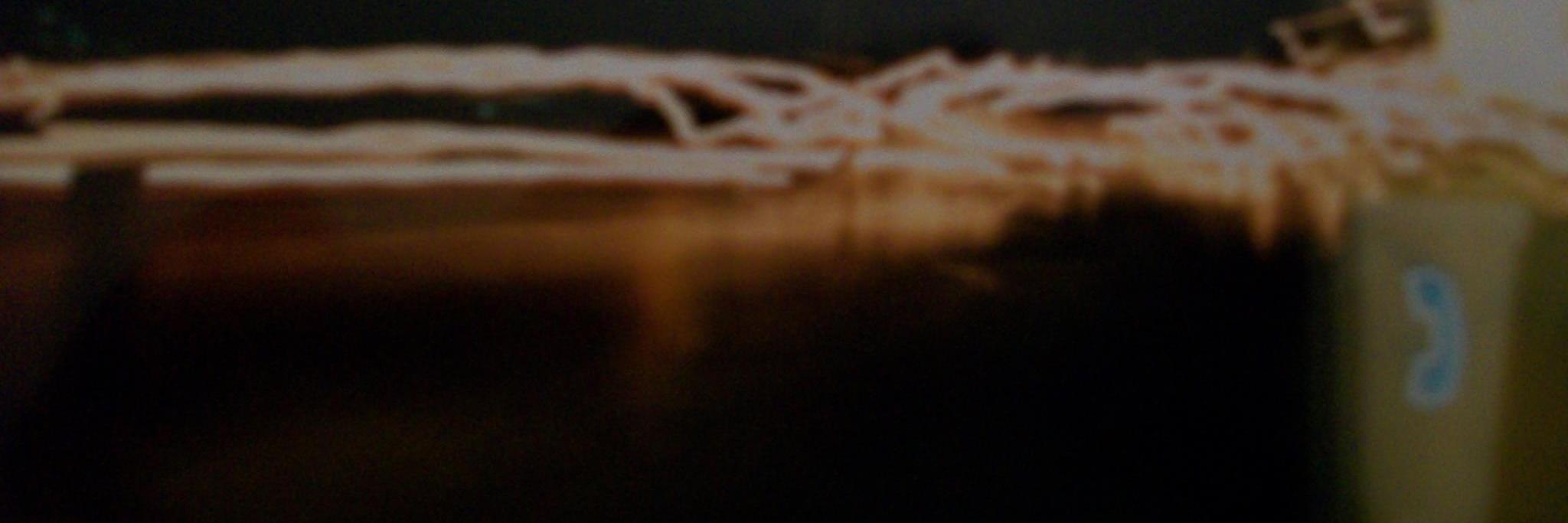 noisetees's profile banner image