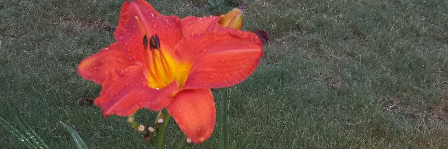 ♡Barbie♡Girl♡ banner