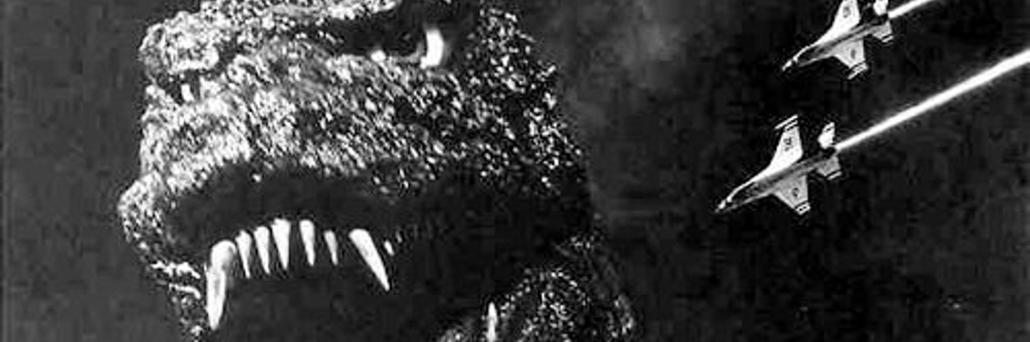 HansMCetto's profile banner image