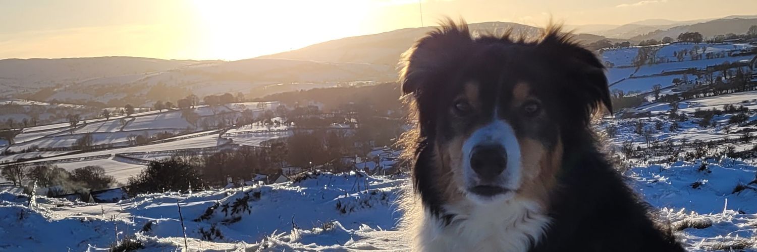 Bethany1307's profile banner image