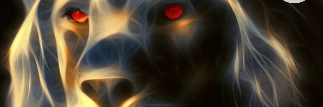 ozvaz78's profile banner image