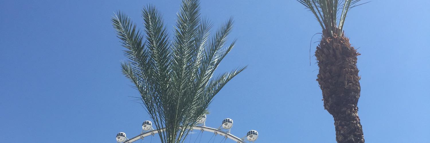 ilovedavee's profile banner image
